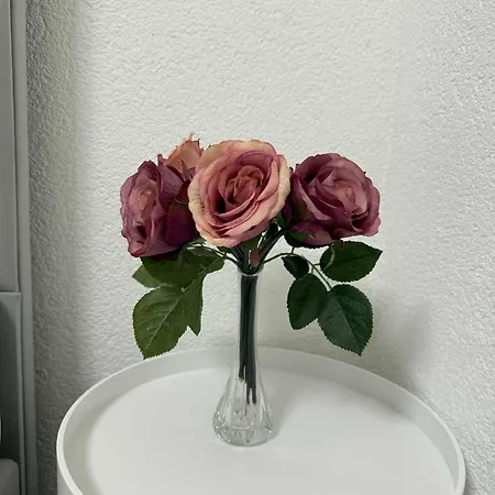 Apartmenthaus Zentrum * Döbeln