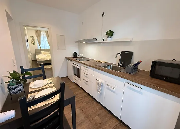 Apartman Apartmenthaus Zentrum