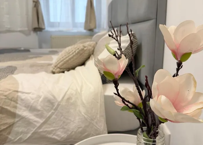 Apartmenthaus Zentrum