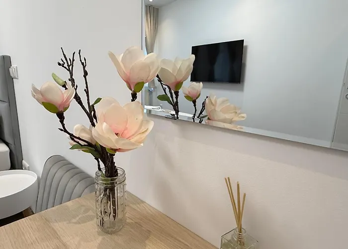 Apartmenthaus Zentrum *