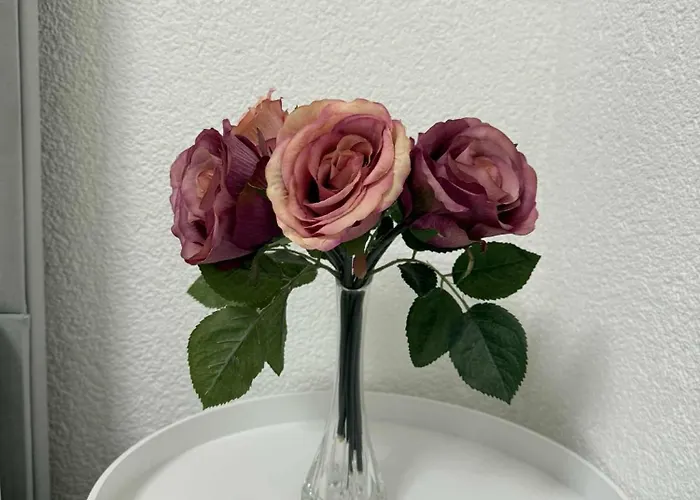 Apartmenthaus Zentrum * Döbeln